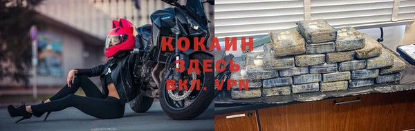 индика Медногорск