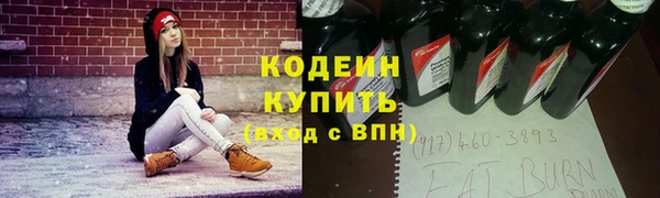 индика Медногорск