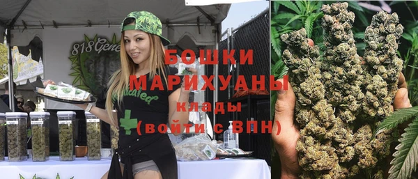 индика Медногорск