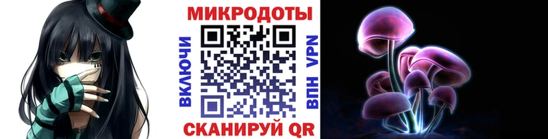 Галлюциногенные грибы мицелий  Купить где  Кингисепп 