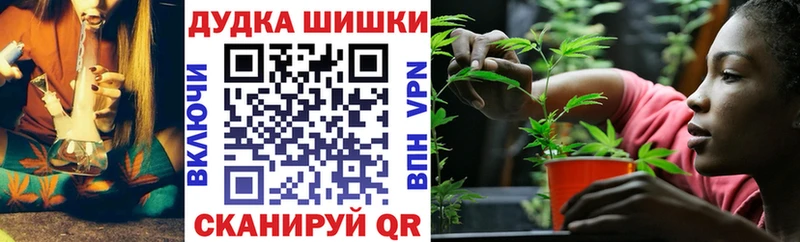 Купить где  Кингисепп  Бошки Шишки MAZAR 